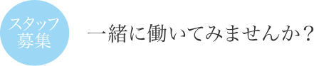 スタッフ募集｜一緒に働いてみませんか？